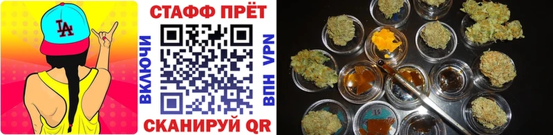 Виды наркоты Солнечногорск Каннабис  Cocaine  Гашиш  Alpha PVP  Меф 