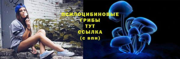крисы Алзамай