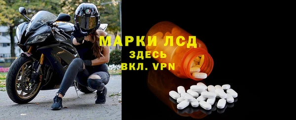 СК Алексин