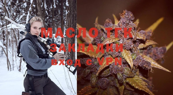 СК Алексин