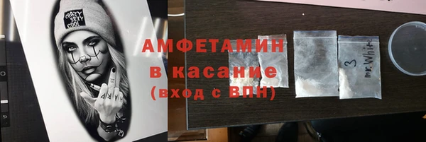 СК Алексин
