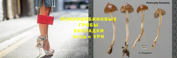 СК Алексин