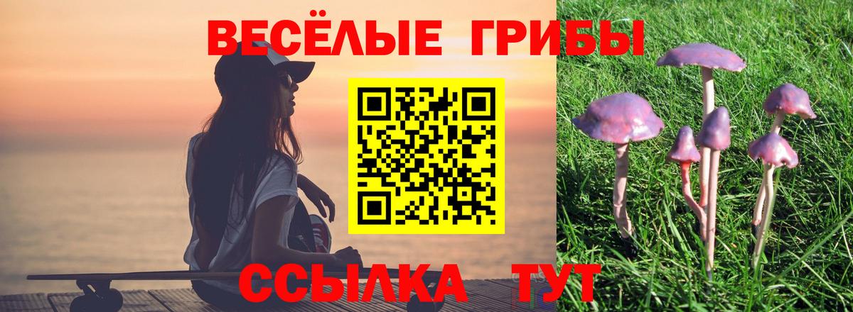 Псилоцибиновые грибы мицелий Солнечногорск