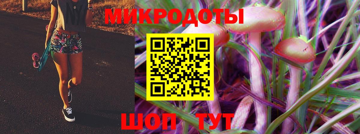 Солнечногорск  Галлюциногенные грибы Psilocybine cubensis  Вход с VPN 